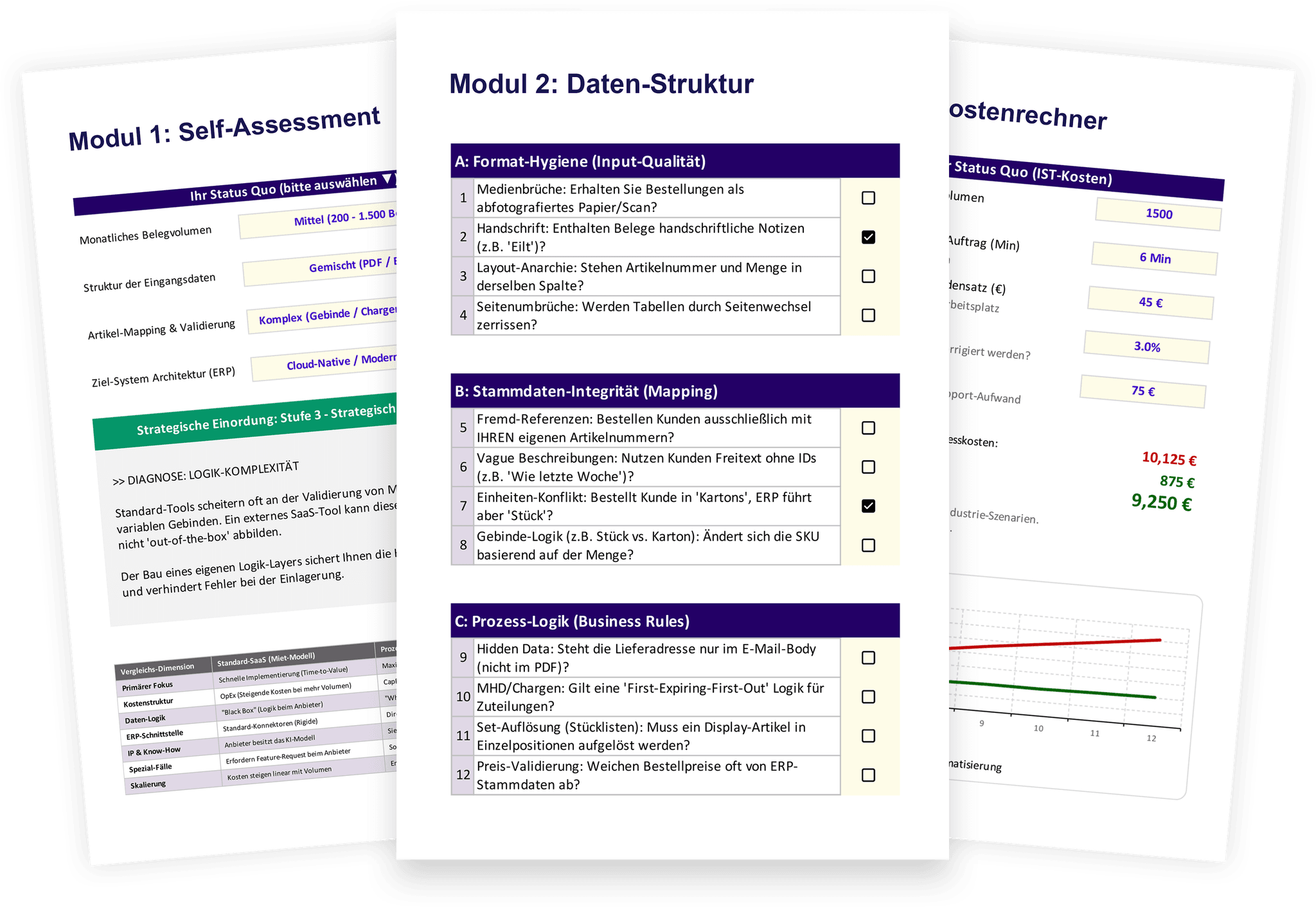Audit Kit – Self-Assessment, Daten-Struktur und Kostenrechner