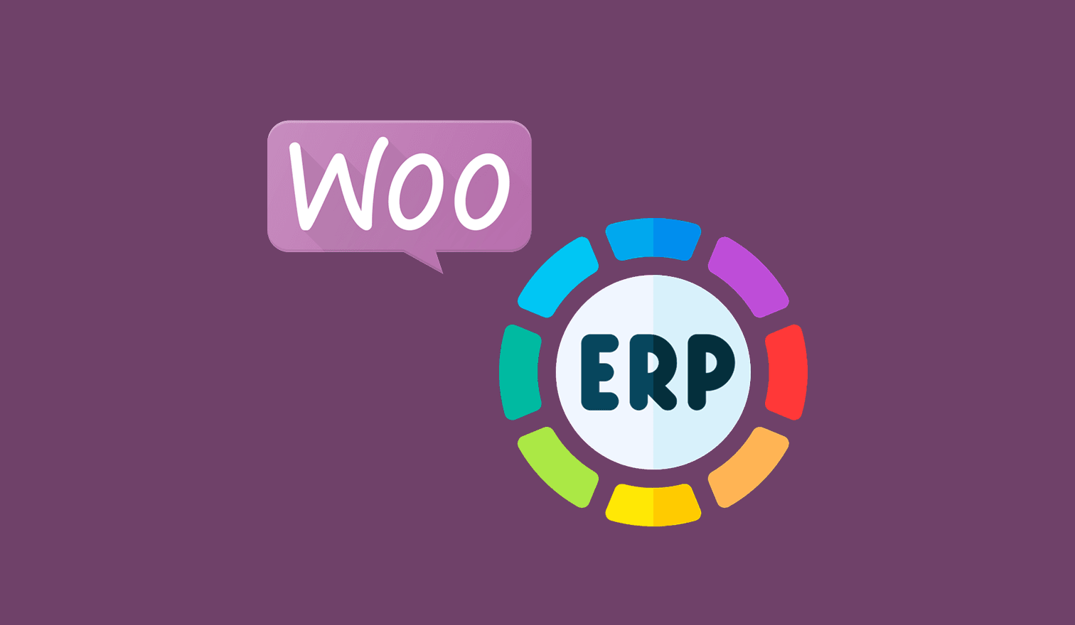WooCommerce-Bestellungen automatisch ins ERP übertragen – Plugin oder eigene Schnittstelle?